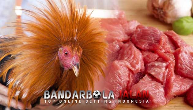 Manfaat Daging Kambing Untuk Ayam Bangkok Aduan