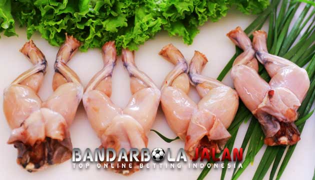 Rahasia Khasiat Daging Kodok Untuk Ayam Bangkok Aduan